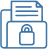 icon security